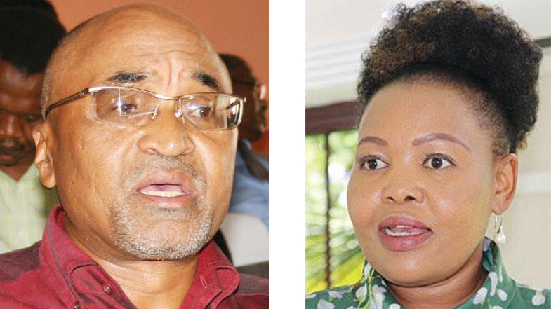 Bennett commends Minister Pholile over PM motion